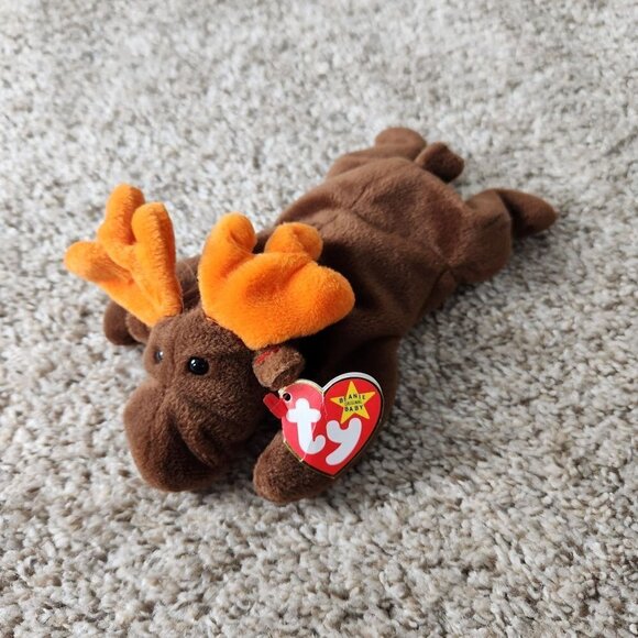 Ty Beanie Baby Bundle - Pouch, Ziggy, Chocolate, Ants and Roam - Picture 6 of 11